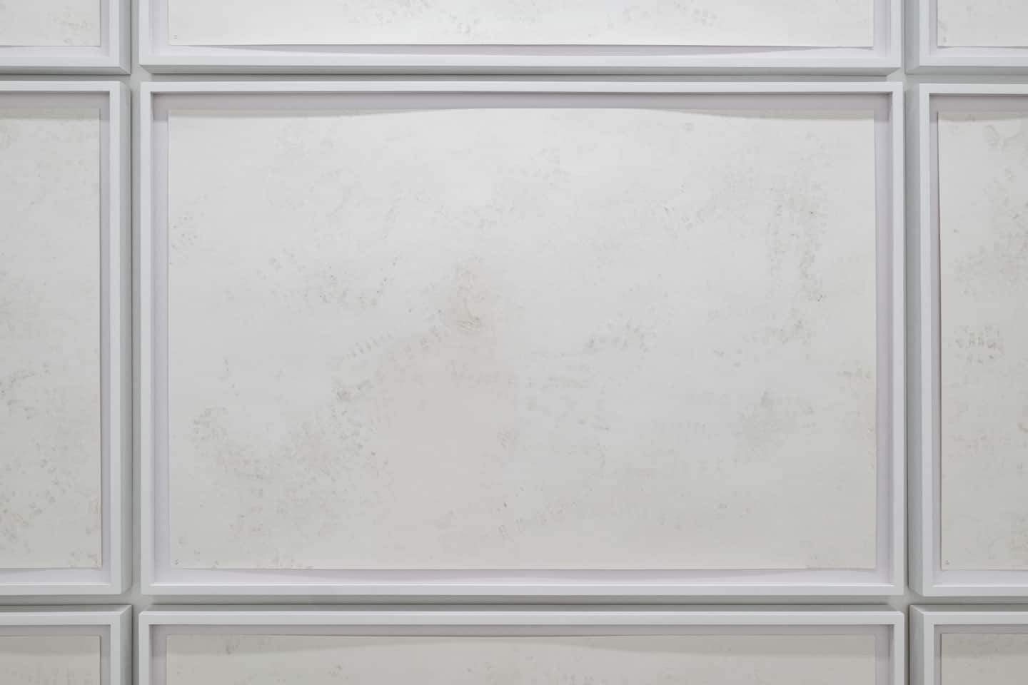 Luis Jacob at Patel Brown